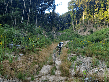 eMTB gallery photo number: 6