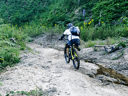 eMTB gallery photo number: 7